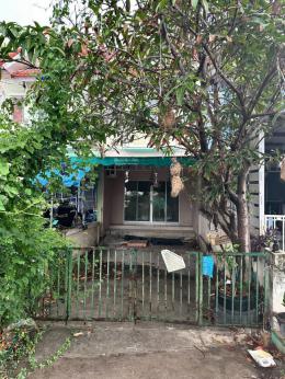 TMPN050 หมู่บ้านพฤกษ์ลดา การ์เด้นท์ ชลบุรี  (Pruklada Garden)